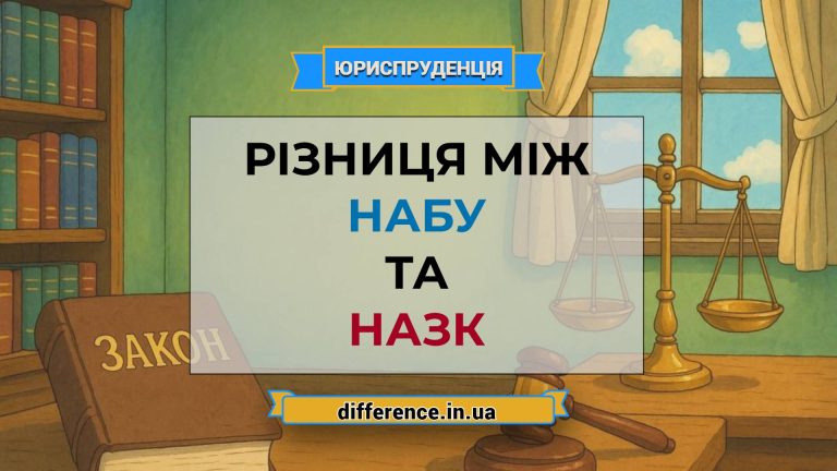Різниця між НАБУ та НАЗК