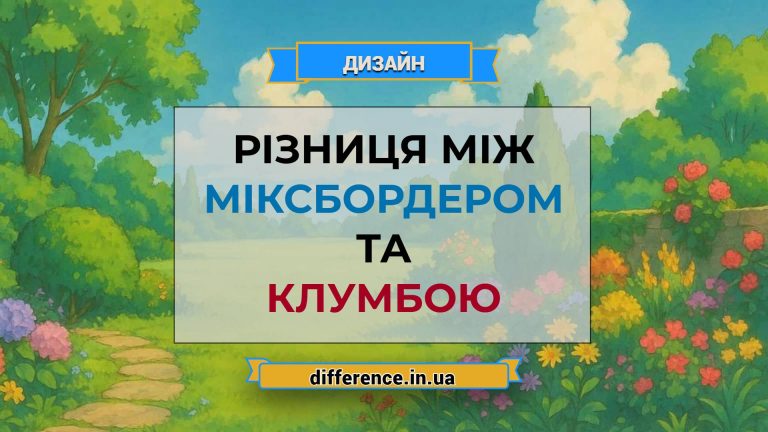 Різниця між міксбордером і клумбою