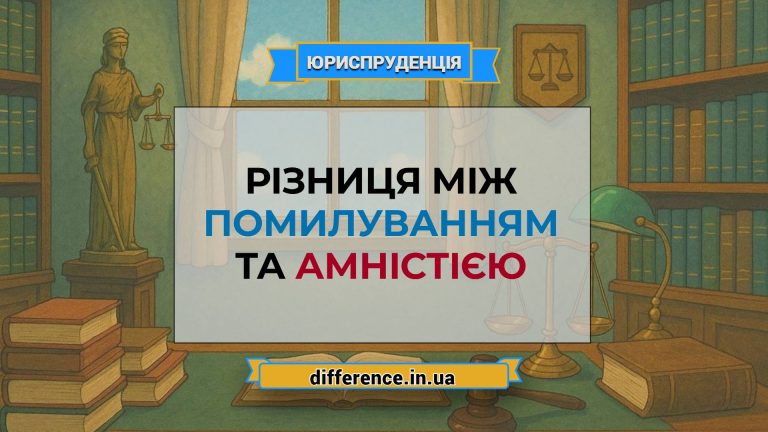 Різниця між помилуванням і амністією