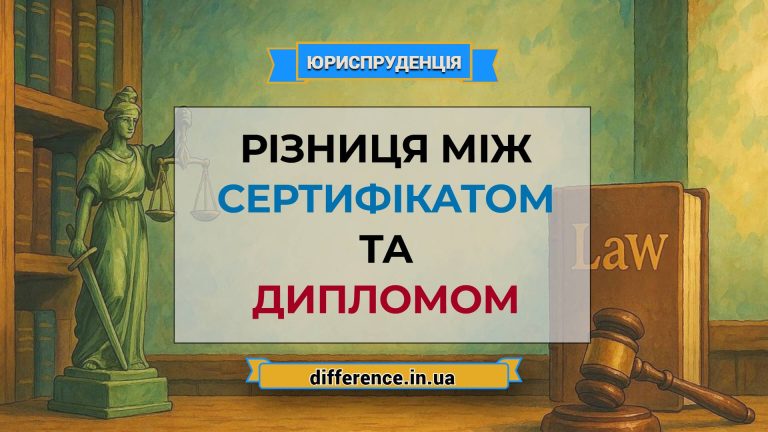 Різниця між сертифікатом і дипломом
