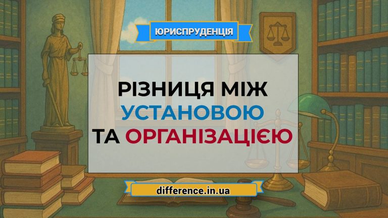 Різниця між установою та організацією