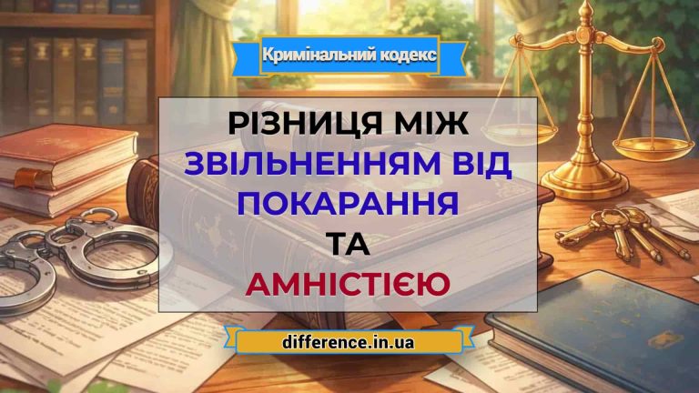 Різниця між звільненням від покарання та амністією