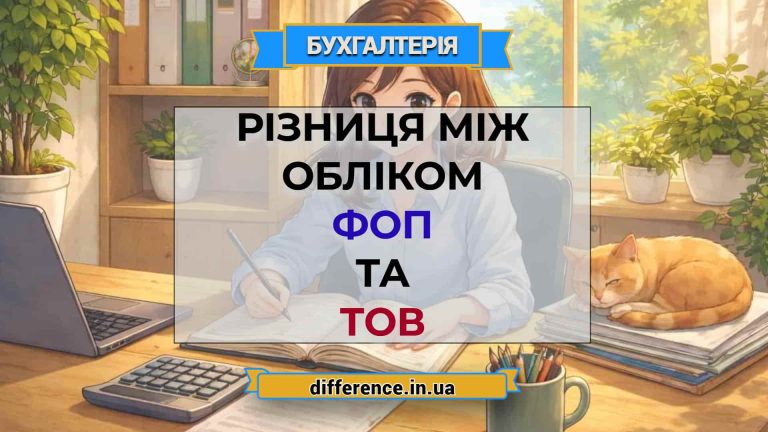 Різниця між обліком ФОП та ТОВ