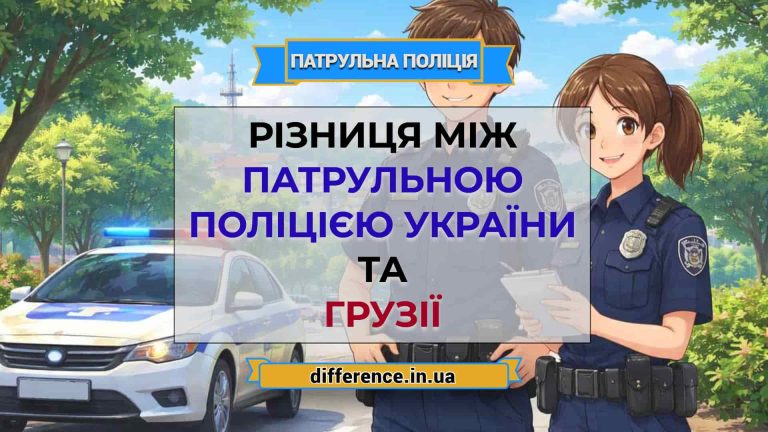 Різниця між патрульною поліцією України та Грузії