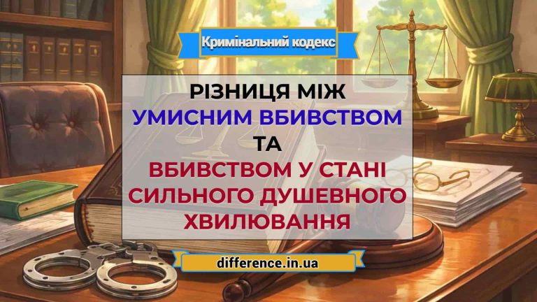 Різниця між умисним вбивством і вбивством у стані сильного душевного хвилювання