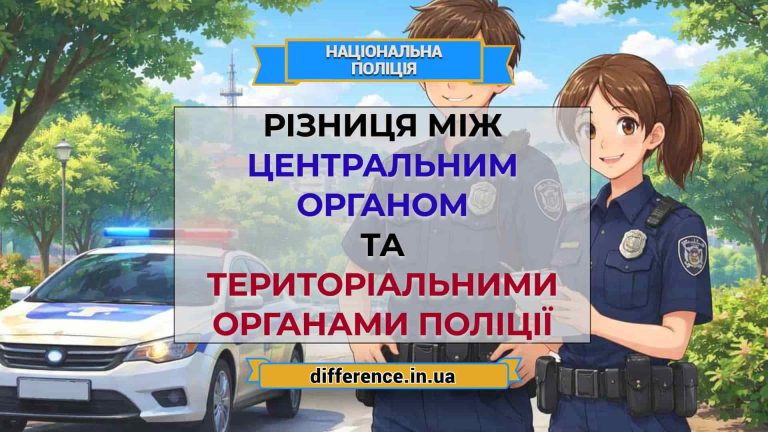 Різниця між центральним органом та територіальними органами поліції