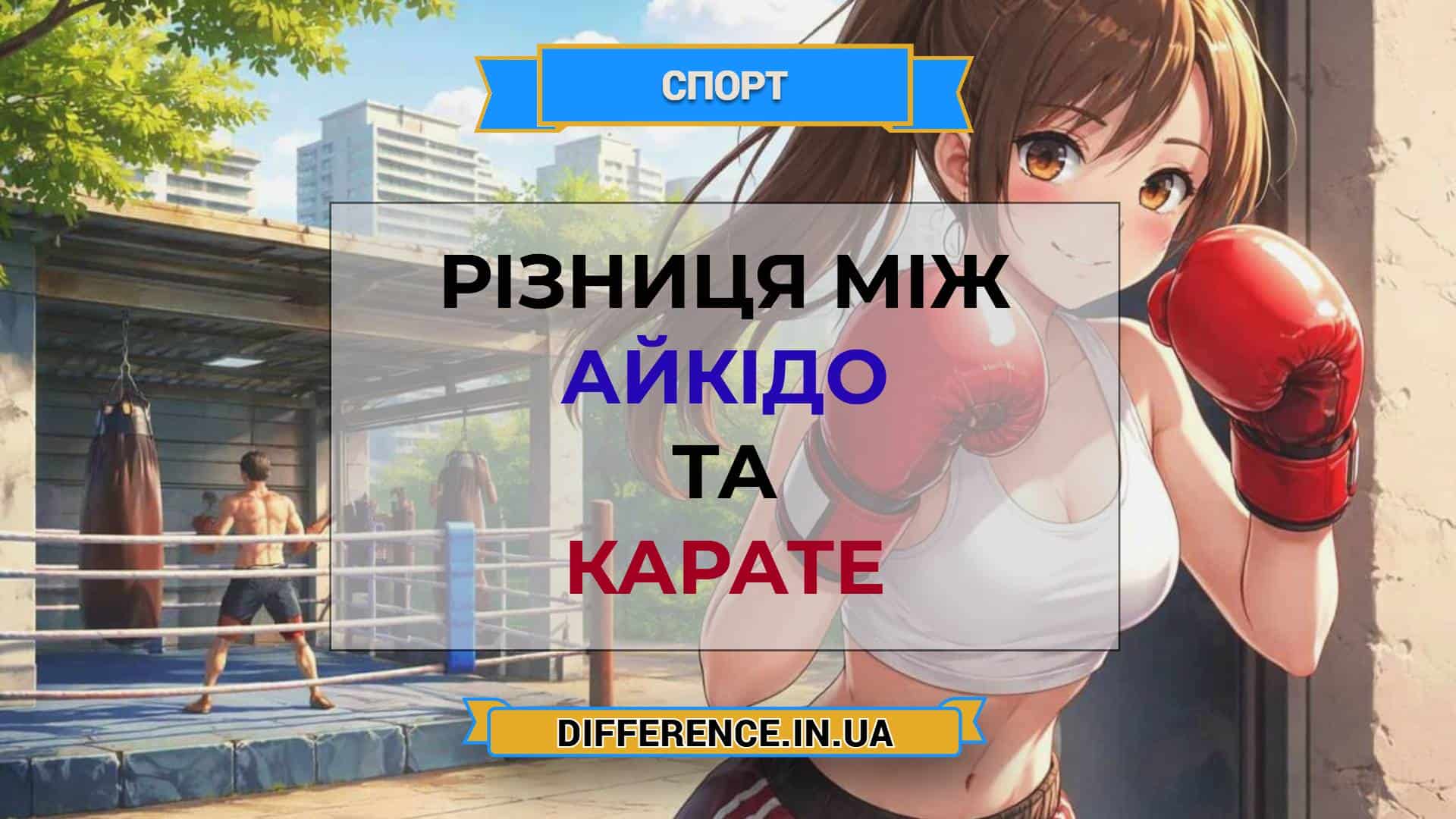 Різниця між айкідо та карате