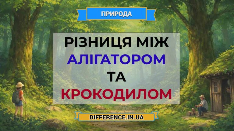 Різниця між алігатором та крокодилом