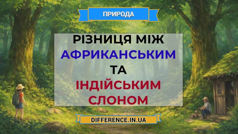 Різниця між африканським та індійським слоном