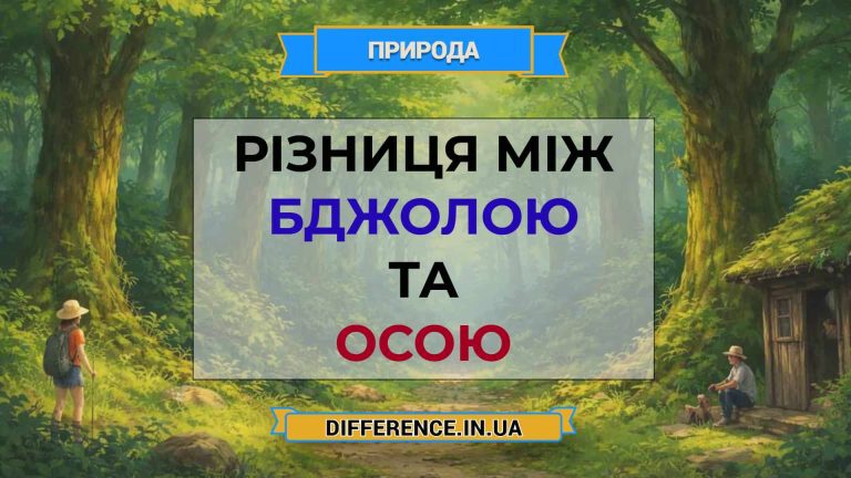 Різниця між бджолою та осою