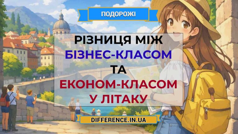 Різниця між бізнес-класом та економ-класом у літаку