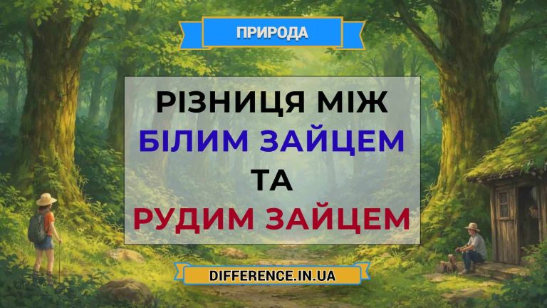 Різниця між білим зайцем та рудим зайцем