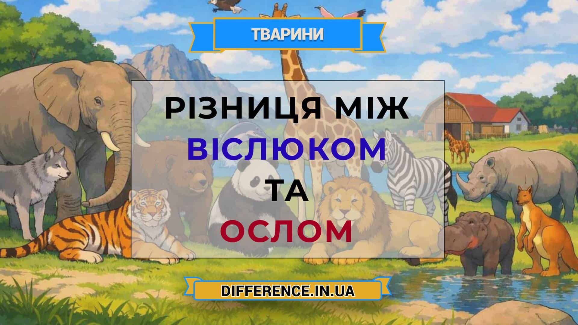 Різниця між віслюком та ослом