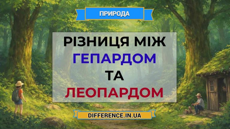 Різниця між гепардом та леопардом