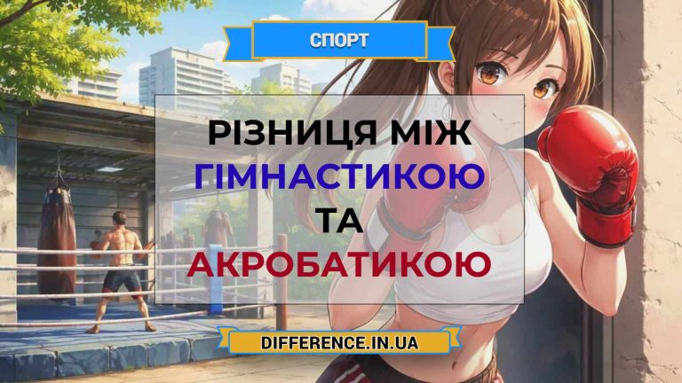 Різниця між гімнастикою та акробатикою