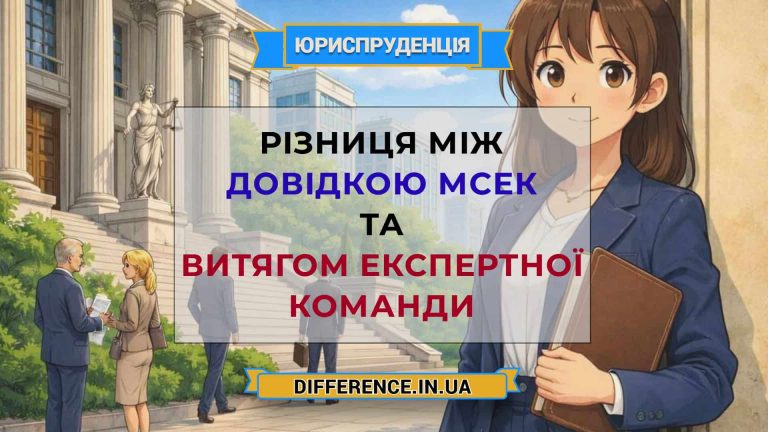 Різниця між довідкою МСЕК та витягом Експертної команди2