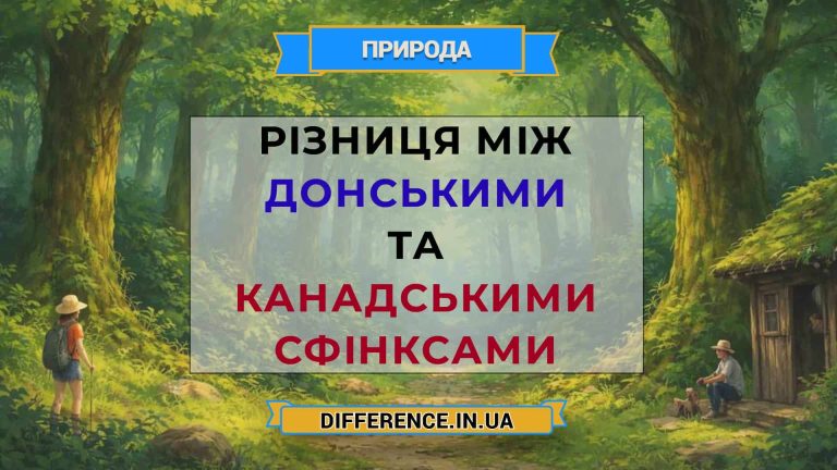 Різниця між донськими та канадськими сфінксами