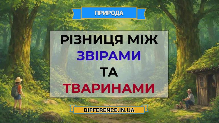 Різниця між звірами та тваринами