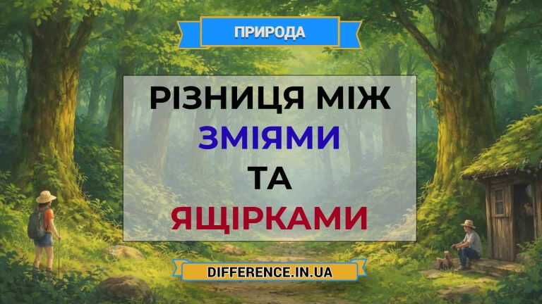 Різниця між зміями та ящірками