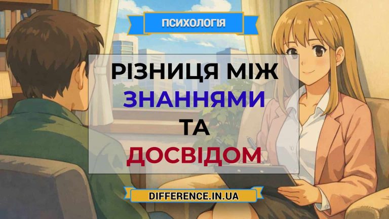 Різниця між знаннями та досвідом