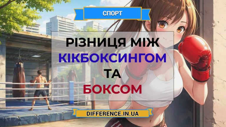Різниця між кікбоксингом та боксом