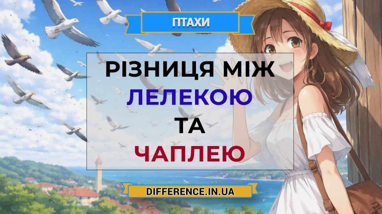 Різниця між лелекою та чаплею