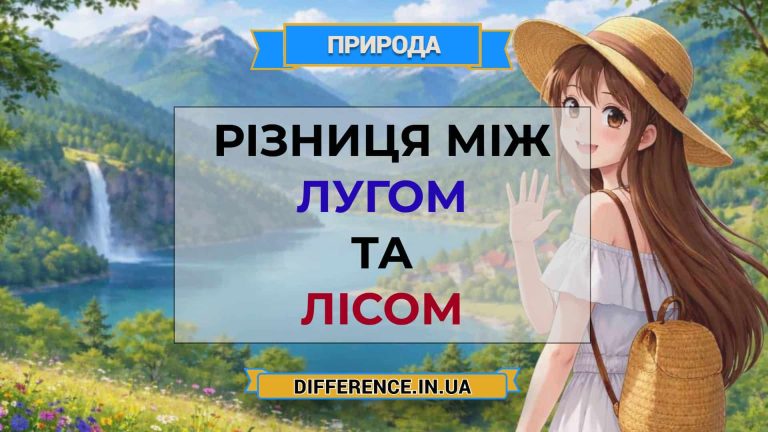 Різниця між лугом та лісом