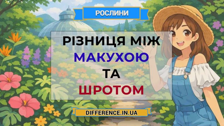 Різниця між макухою та шротом