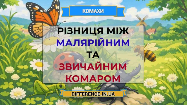 Різниця між малярійним та звичайним комаром