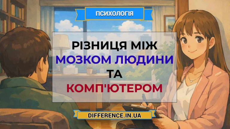 Різниця між мозком людини та комп'ютером