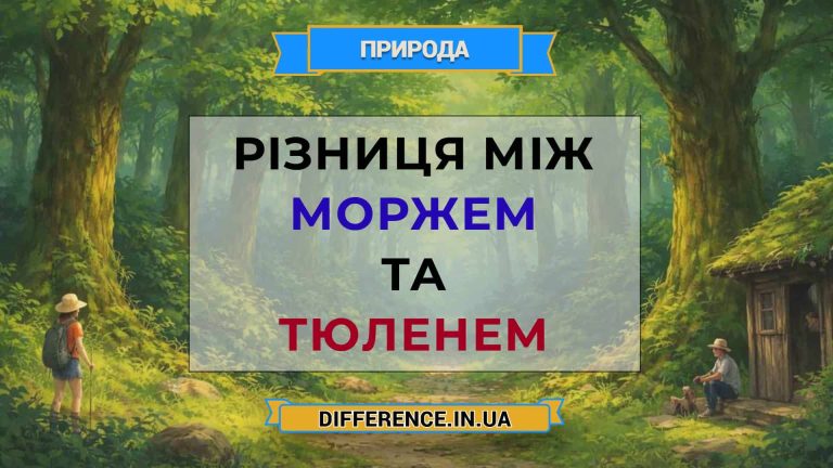 Різниця між моржем та тюленем