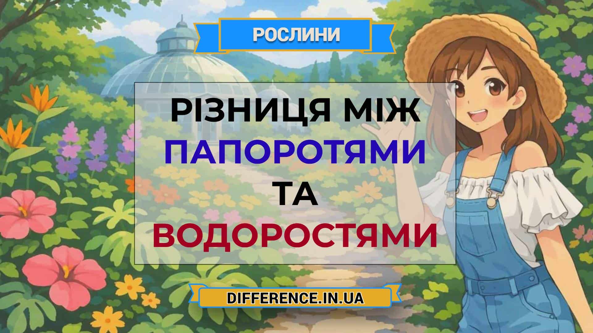 Різниця між папоротями та водоростями