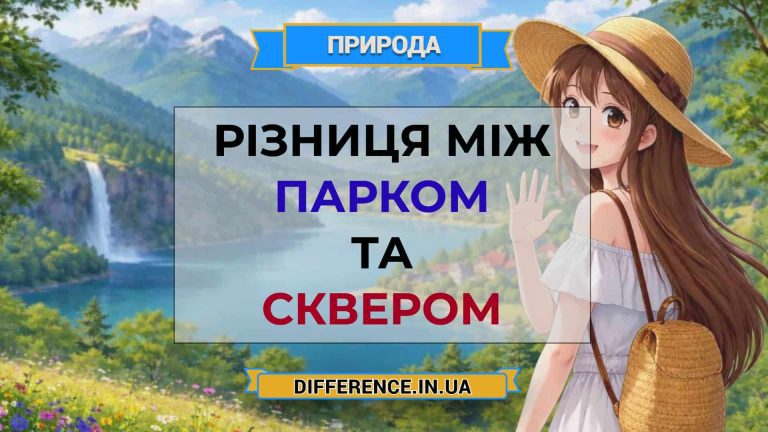 Різниця між парком та сквером
