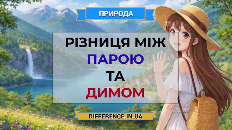Різниця між парою та димом