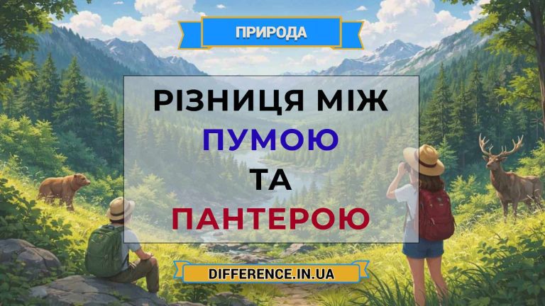 Різниця між пумою та пантерою
