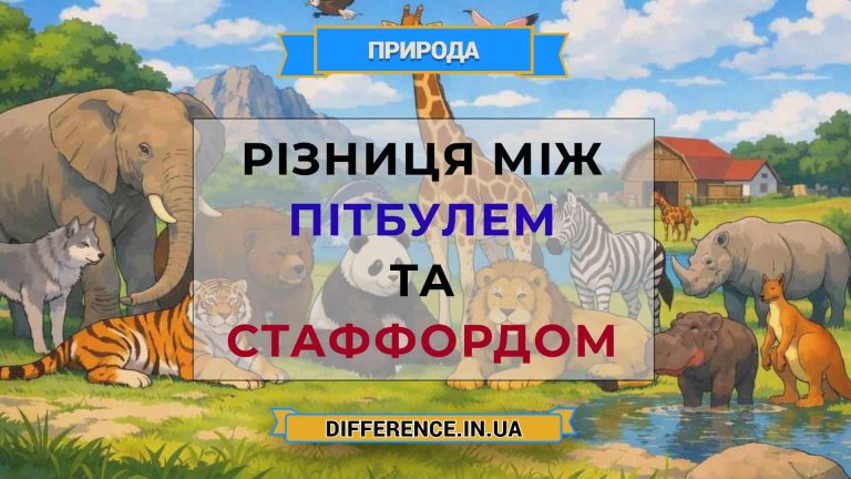 Різниця між пітбулем та стаффордом