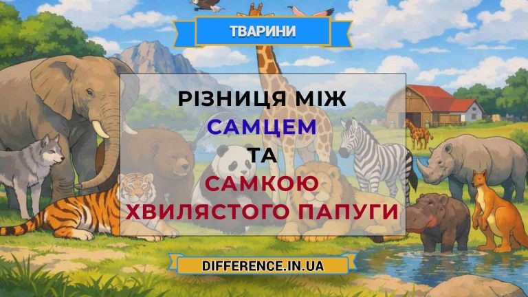 Різниця між самцем та самкою хвилястого папуги