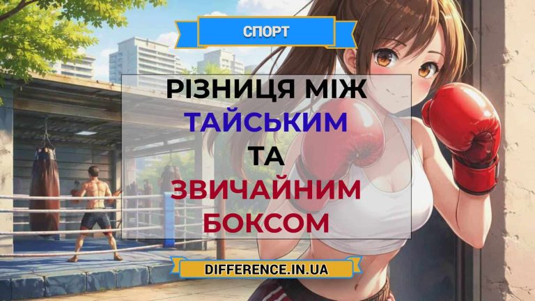 Різниця між тайським та звичайним боксом