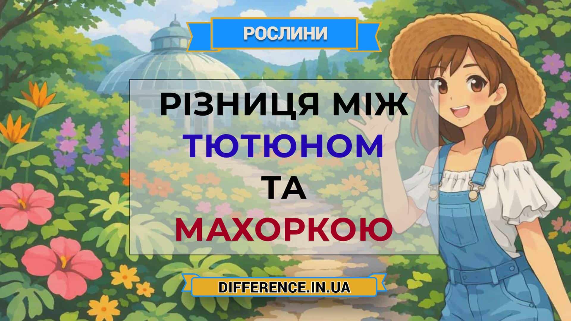 Різниця між тютюном та махоркою
