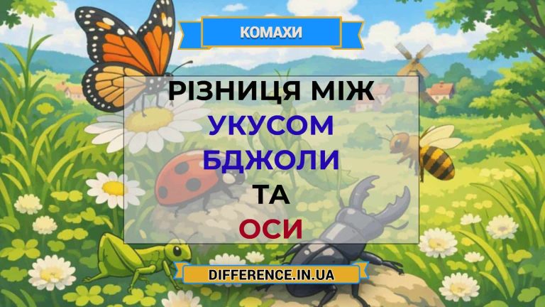Різниця між укусом бджоли та оси