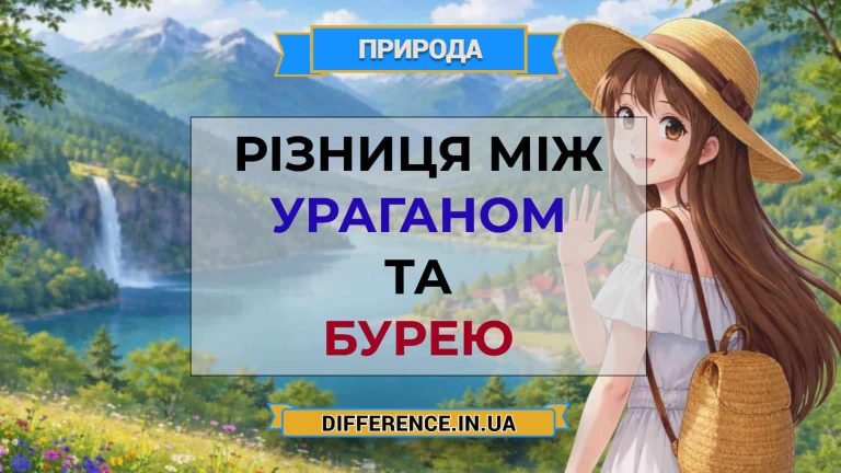 Різниця між ураганом та бурею