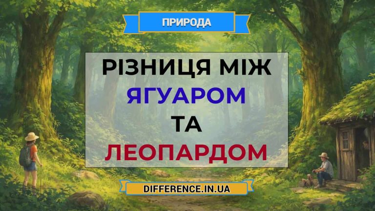 Різниця між ягуаром та леопардом