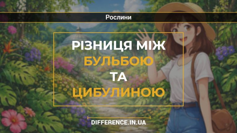 Різниця між бульбою та цибулиною