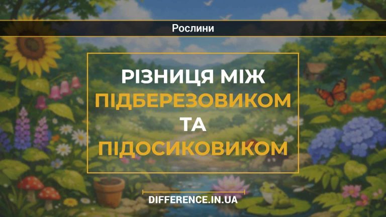 Різниця між підберезовиком та підосиковиком