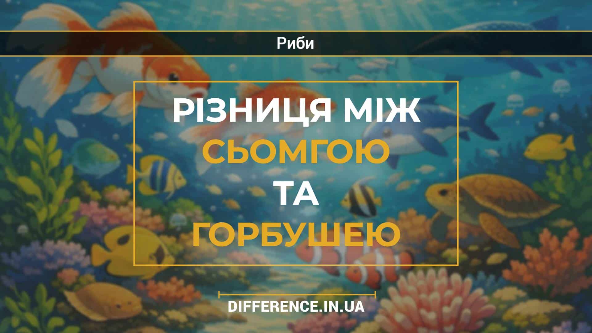 Різниця між сьомгою та горбушею