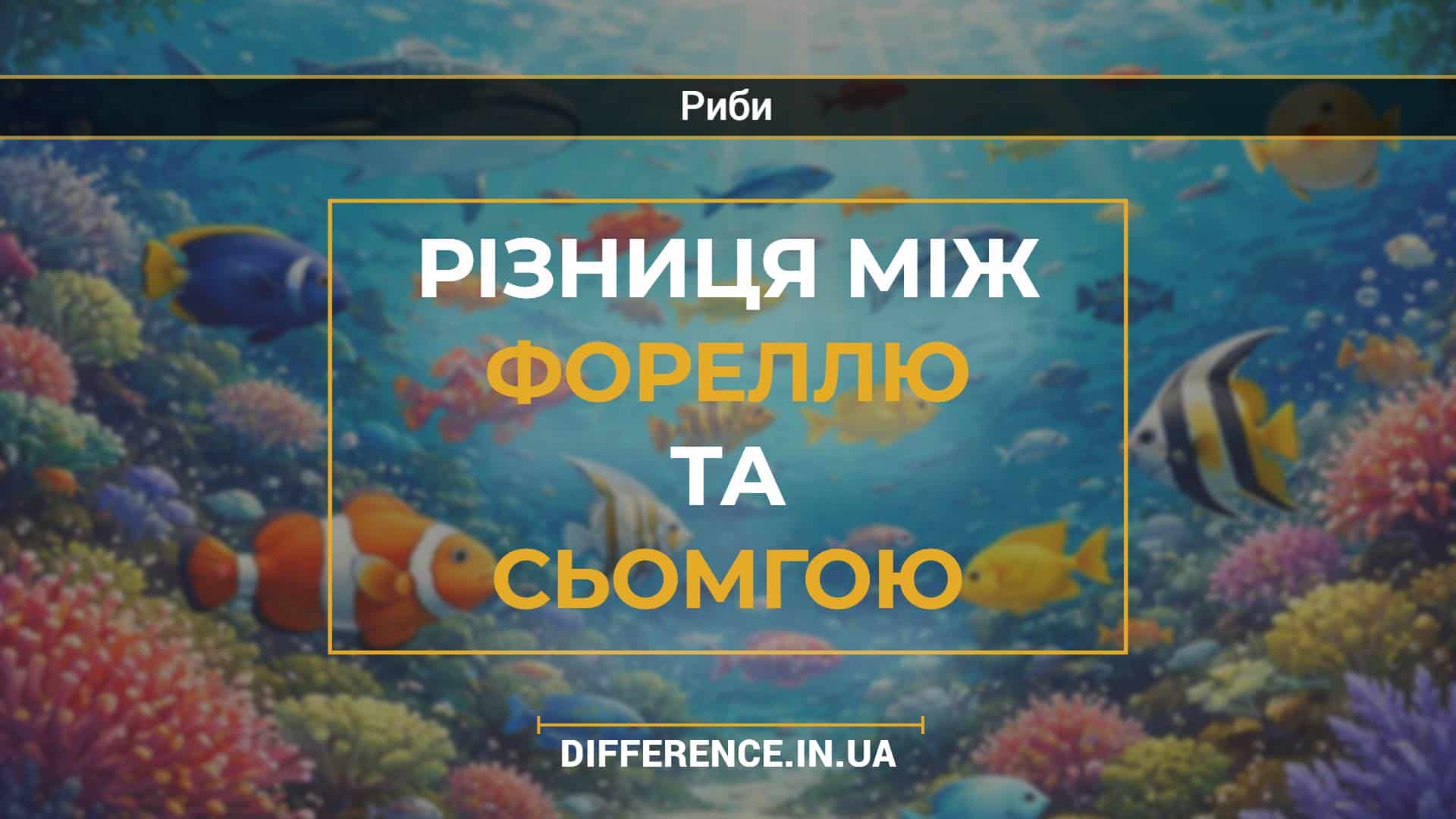 Різниця між фореллю та сьомгою