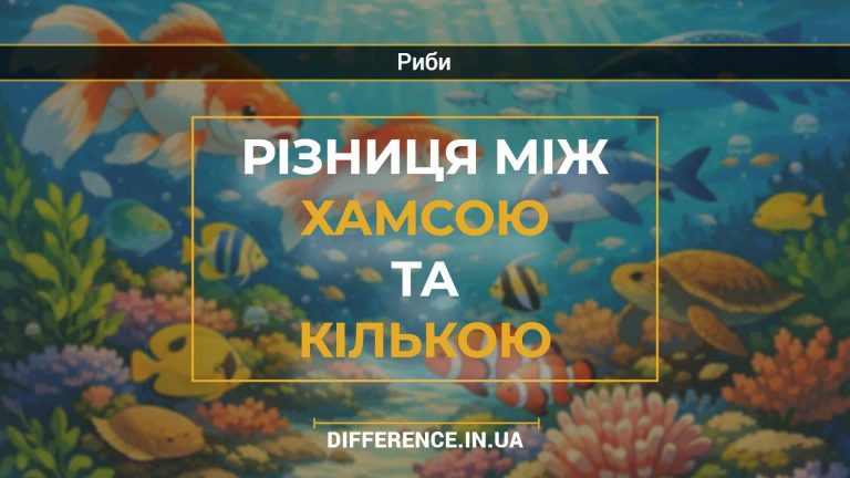 Різниця між хамсою та кількою