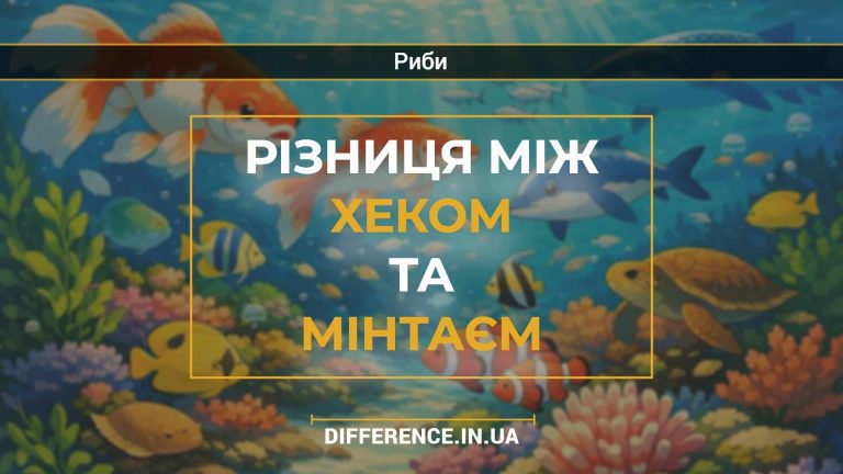 Різниця між хеком та мінтаєм