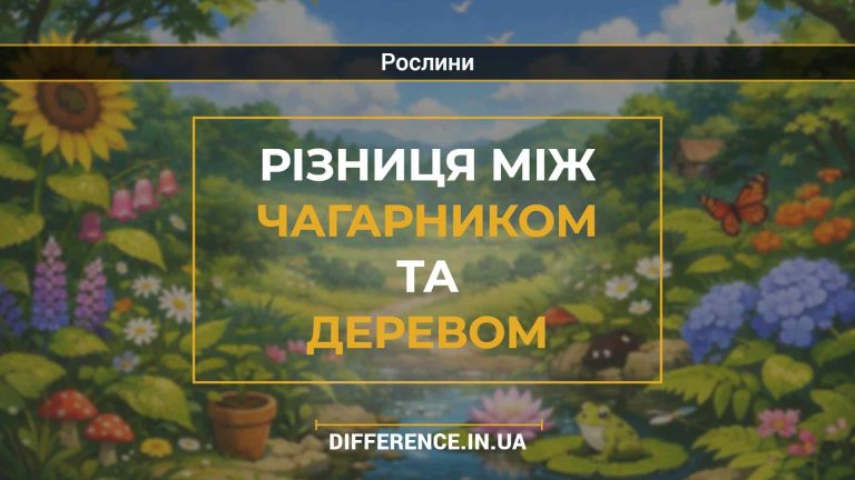 Різниця між чагарником та деревом