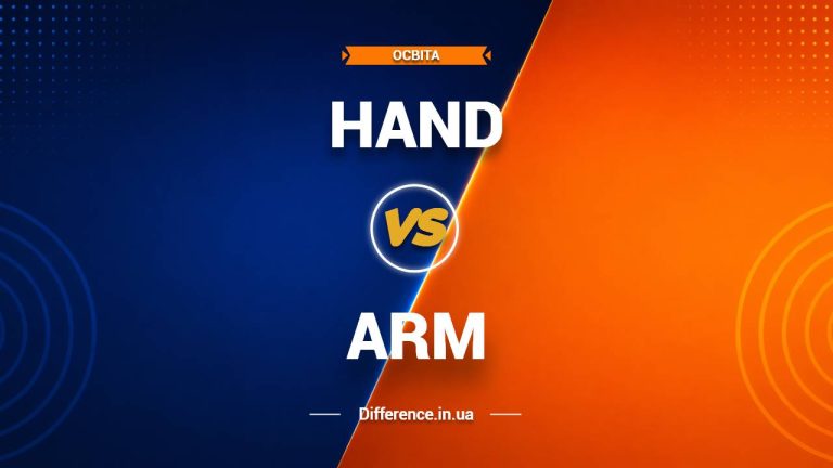 Різниця між Hand і Arm